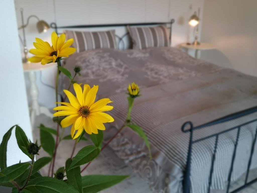 Bed and Breakfast De Rolders Wapenveld Экстерьер фото